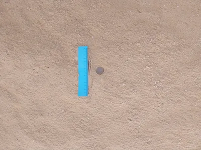 Arena Muerta